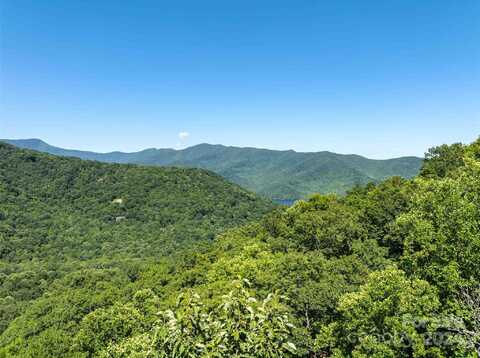 5 White Birch Court, Black Mountain, NC 28711