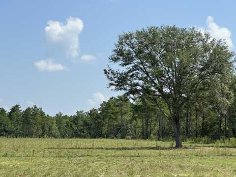 7.4ac W US Hwy 90, DeFuniak Springs, FL 32433