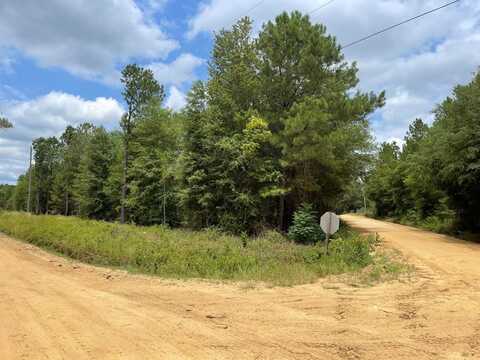 0 Gooch Rd (Lot G), Eastman, GA 31023