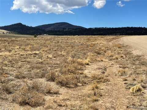 33 Wagon Wheel Road, Hartsel, CO 80449