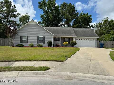 1201 Wormwood Branch Court, Havelock, NC 28532