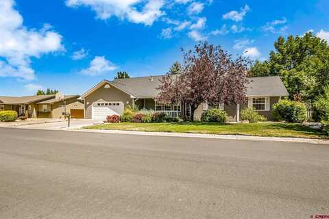 1689 Sneffels Street, Montrose, CO 81401