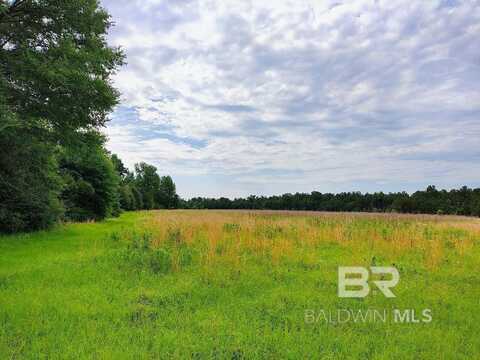 0 County Road 69, Coffeeville, AL 36524