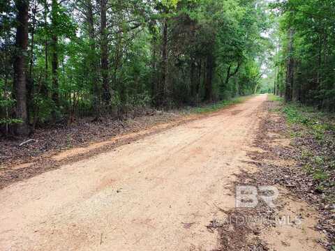 0000000 County Road 69, Coffeeville, AL 36524