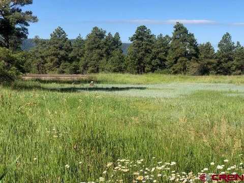 254 Park Avenue, Pagosa Springs, CO 81147