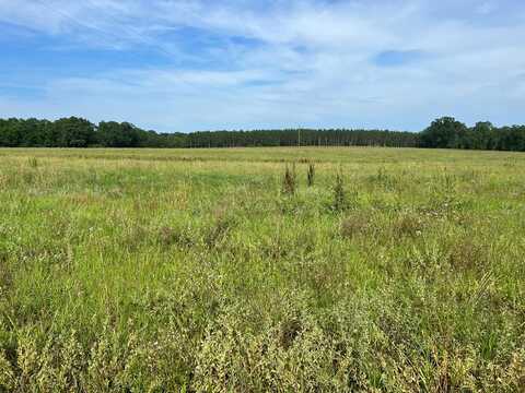 8 Acres J Saunders, Dothan, AL 36305