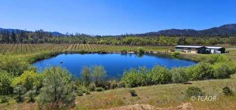 510 Oliva Dr, Hayfork, CA 96041