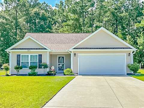 252 Timber Run Dr., Georgetown, SC 29440