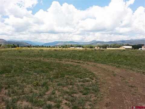 000 Shoshone Trail, South Fork, CO 81154