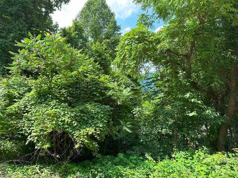 Lot 303 Slippery Rock Road, Waynesville, NC 28785