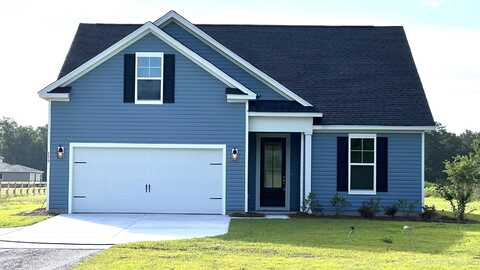 139 Dantzler Road, Harleyville, SC 29448