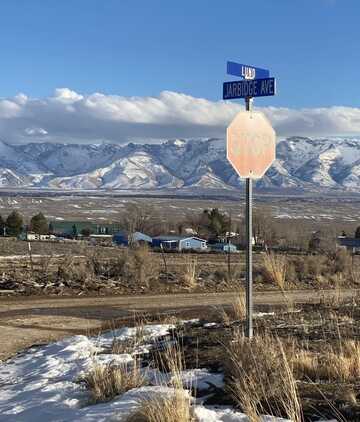 Jarbidge Avenue, Spring Creek, NV 89815