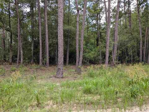 6810 Private Road 8235, Buna, TX 77612