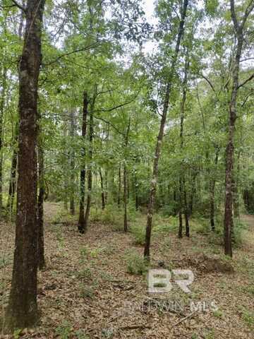 0 Caffey Lane, Atmore, AL 36502