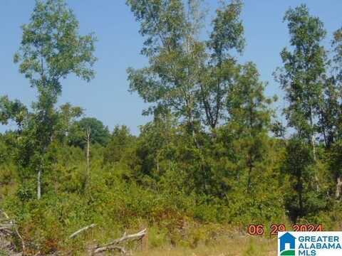 0 COUNTY ROAD 447, VERBENA, AL 36091