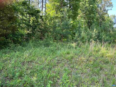 Lot A 6 TYE RIVER RD, TYE RIVER, VA 22922