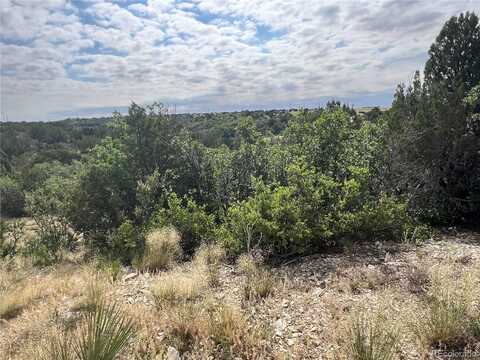 Georgetown Lane, Colorado City, CO 81019