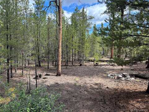 399 Fir Drive, Twin Lakes, CO 80461