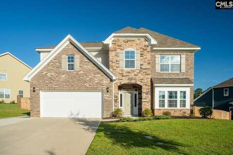 550 Malachite Ln, Chapin, SC 29036