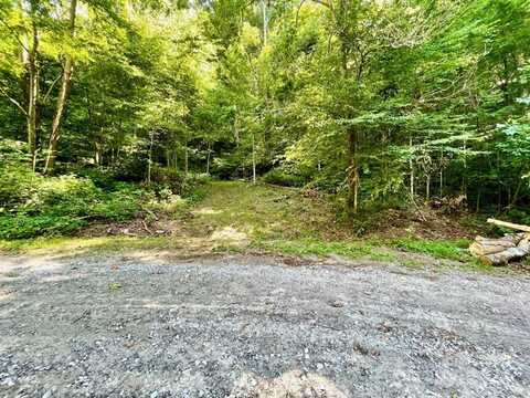 10.02 Acres Tbd Rock Garden Road, Black Mountain, NC 28711