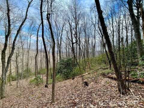 10.02 Acres TBD Rock Garden Road, Black Mountain, NC 28711