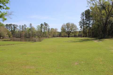 00 Raymond Road, Orangeburg, SC 29118