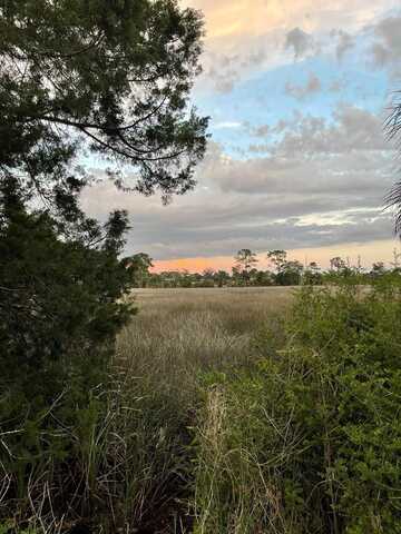 TBD 231st St, Suwannee, FL 32692