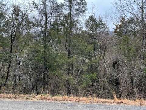 50 Wild Turkey DR, Holiday Island, AR 72631