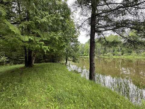 Long Rapids Road, Alpena, MI 49707