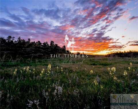 Lot 13 BLACK FIG Court, Billings, MT 59105