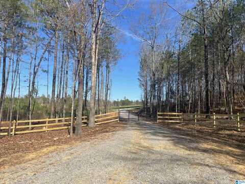 000001 HIGHWAY 47, COLUMBIANA, AL 35051