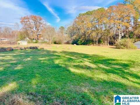 0 HIGHWAY 9, PIEDMONT, AL 36272