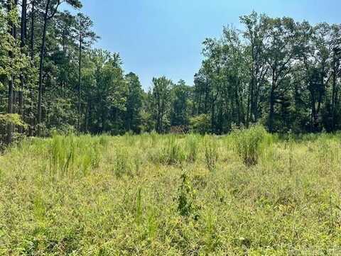 000 Hwy 104 Tract A, Pine Bluff, AR 71602