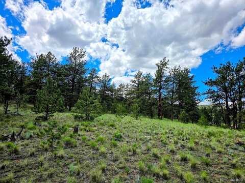 2528 Oxford Drive, Hartsel, CO 80449