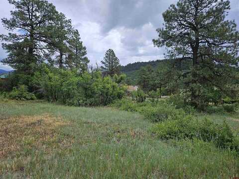 309 Arbor Drive, Pagosa Springs, CO 81147