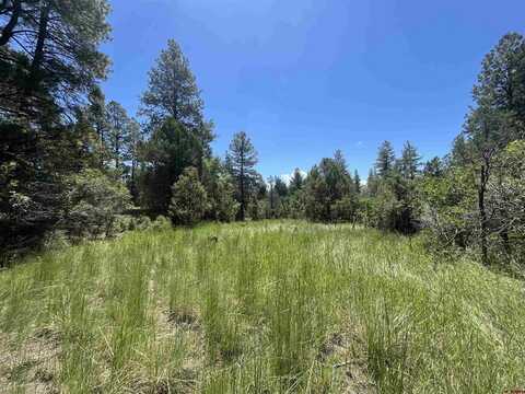 313 Cool Pines Drive, Pagosa Springs, CO 81147