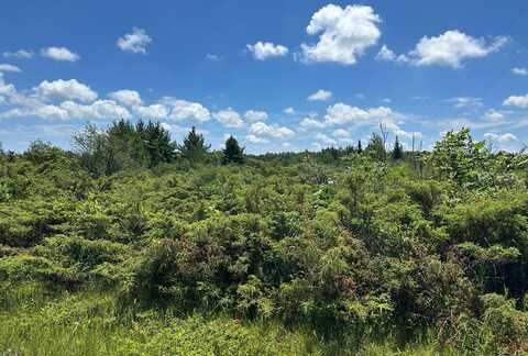 Lot #1 Cedar Ridge Rd, Baileys Harbor, WI 54202