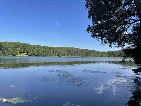 Off Fish Pond Road, Columbia, NH 03576