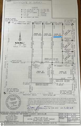 E TREMBLAY ROAD, MANCELONA, MI 49659