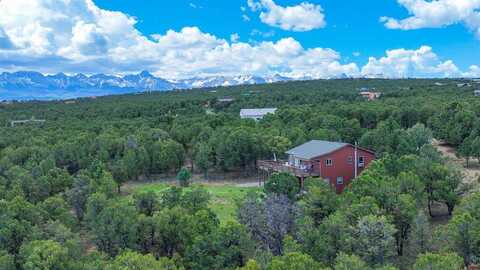 281 Oak Road, Ridgway, CO 81432