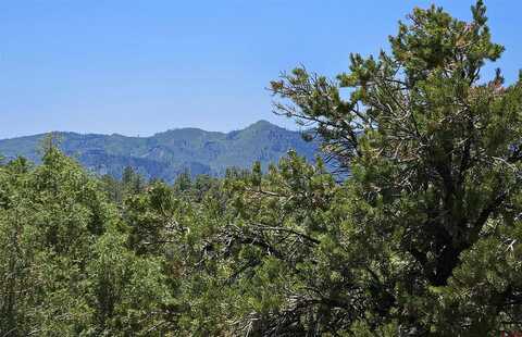 73 Wayne's Court, Pagosa Springs, CO 81147