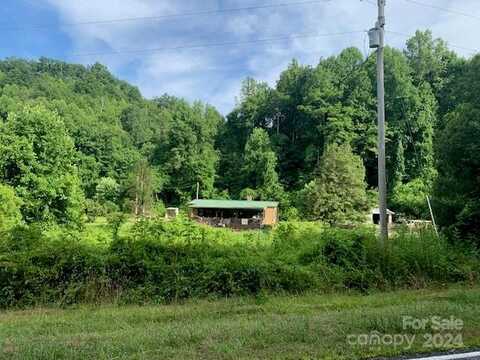 5712 HOLBERT COVE Road, Saluda, NC 28773