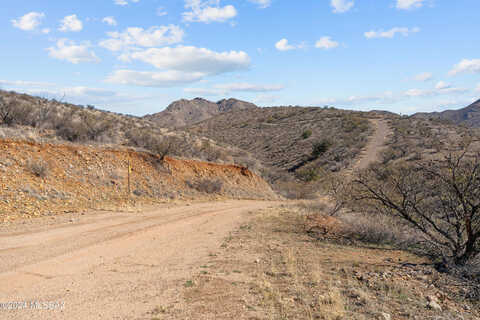 Circulo Cerro, RIO RICO, AZ 85648