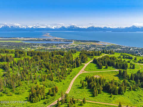 Whispering Meadows, HOMER, AK 99603