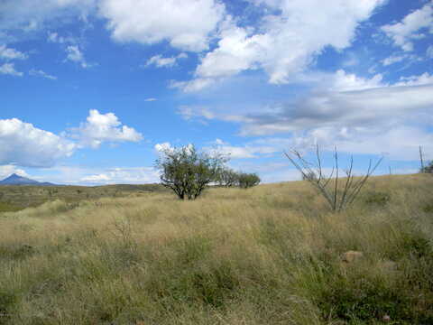 Lado De Loma, PATAGONIA, AZ 85624