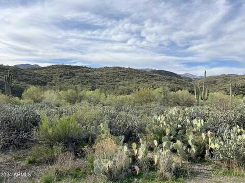 Kings, BLACK CANYON CITY, AZ 85324