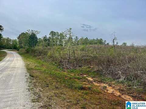 Tract B County Road 123, Wedowee, AL 36278