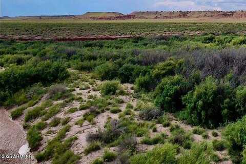 River Meadows Ranch South Lot #22 --, Concho, AZ 85924