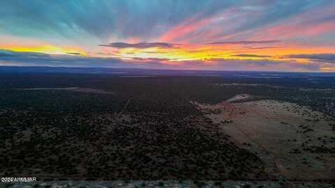 Lot C-4 Silver Lake 8.16 Acres --, Show Low, AZ 85901