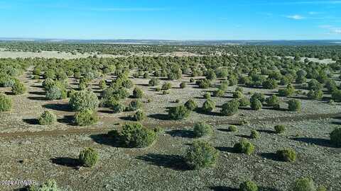 Lot C-2 Silver Lake 8.16 Acres --, Show Low, AZ 85901